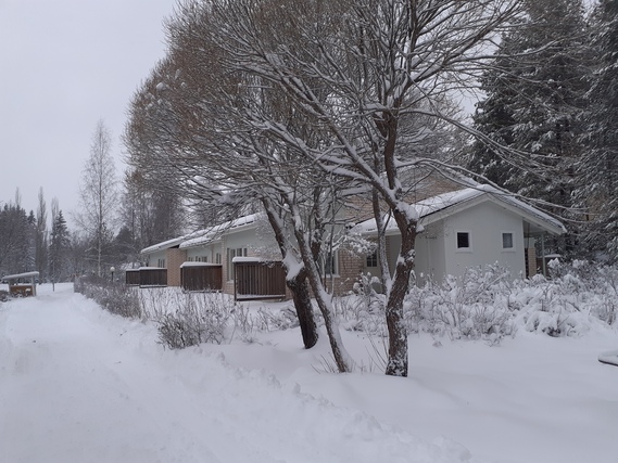 Rental Hämeenkyrö  1 room