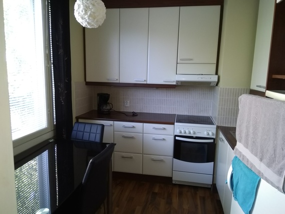 Rental Kouvola Kuusankosken keskusta 1 room Olohuone