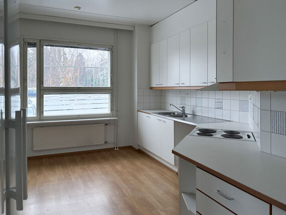 Rental Jyväskylä Suuruspää 4 rooms