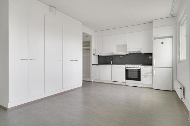 Rental Vantaa Tikkurila 1 room Olohuone