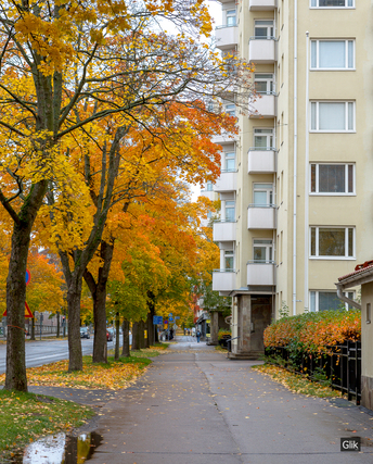 Vuokra-asunto Tampere Kaleva Yksiö