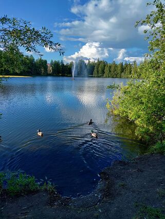 Vuokra-asunto Tampere Viinikka Yksiö