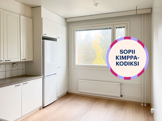 Rental Kuopio Rypysuo 3 rooms