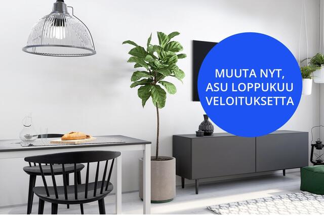 Vuokra-asunto Vantaa Kivistö Kaksio