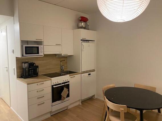 Vuokra-asunto Jyväskylä Keskusta Yksiö Tupakeittiö