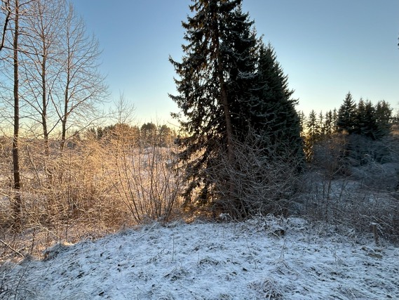 Vuokra-asunto Salo Isokylä 3 huonetta