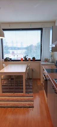 Rental Vihti Suksela 2 rooms Keittiössä hyvin kaappitilaa