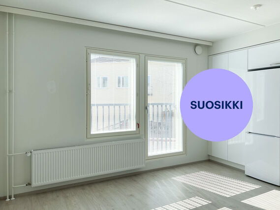 Rental Jyväskylä Keskusta 1 room