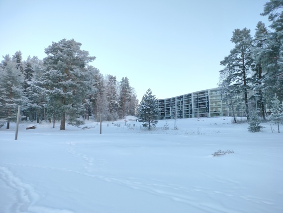 Vuokra-asunto Jyväskylä Taulumäki Yksiö