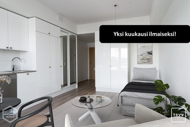 Rental Turku Kirstinpuisto 1 room Yleiskuva