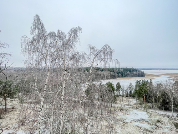 Vuokra-asunto Helsinki Herttoniemi Yksiö Varsin toimiva koti, hienoilla näkymillä ja hyvällä pohjaratkaisulla