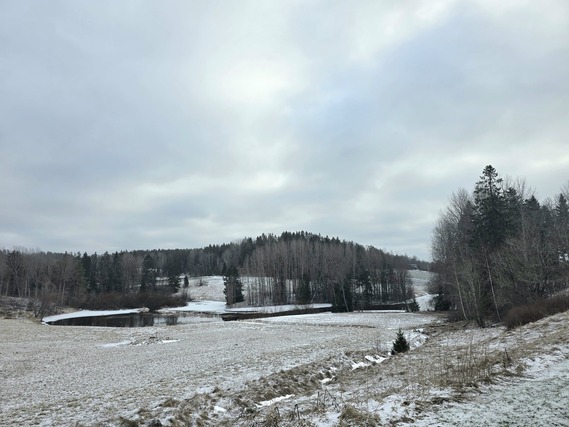 Vuokra-asunto Kirkkonummi Kauhala Kaksio