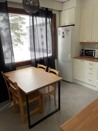 Rental Laukaa Lievestuore 3 rooms Keittiö