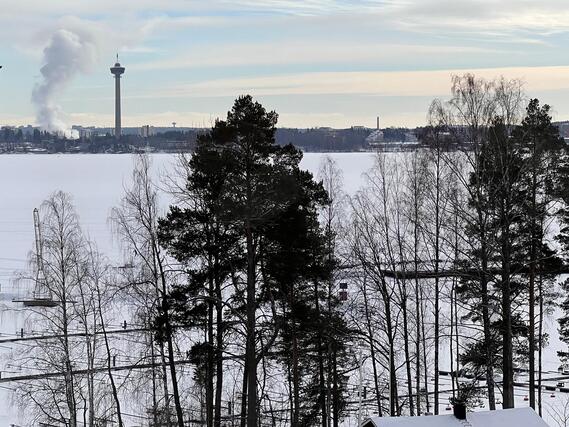 Vuokra-asunto Tampere Niemenranta Kaksio