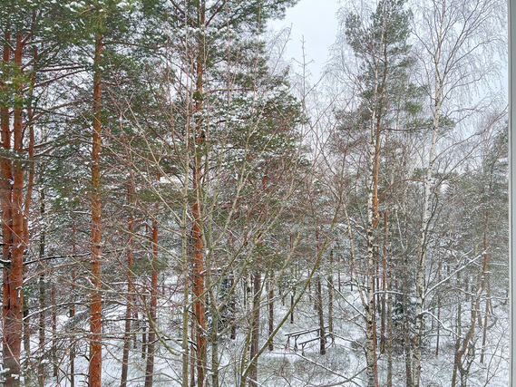 Vuokra-asunto Helsinki Pihlajamäki Yksiö Valoisa ylimmän kerroksen koti, mistä aukeaa kauniit metsämaisemat!