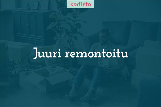 Rental Imatra Rajapatsas 1 room Pohjakuva