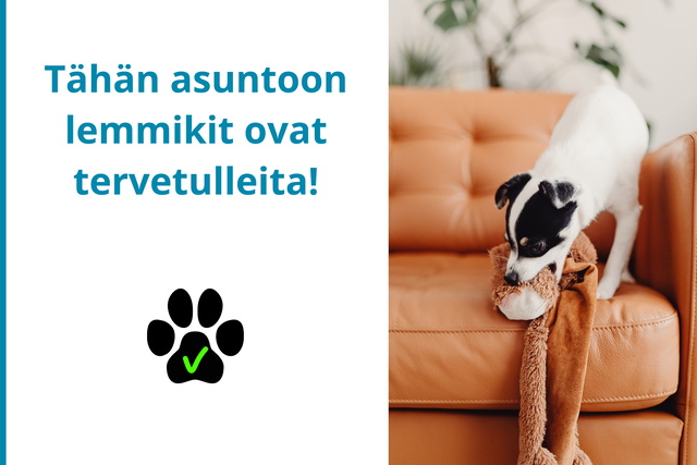 Vuokra-asunto Uusikaupunki Ketunkallio 3 huonetta