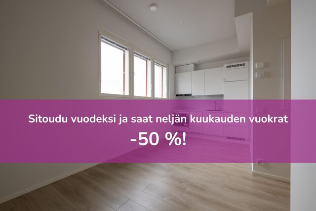 Rental Turku Keskusta 1 room