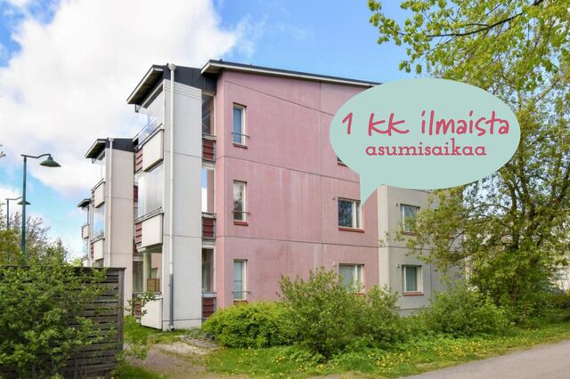 Rental Lappeenranta Harapainen 1 room Kampanja