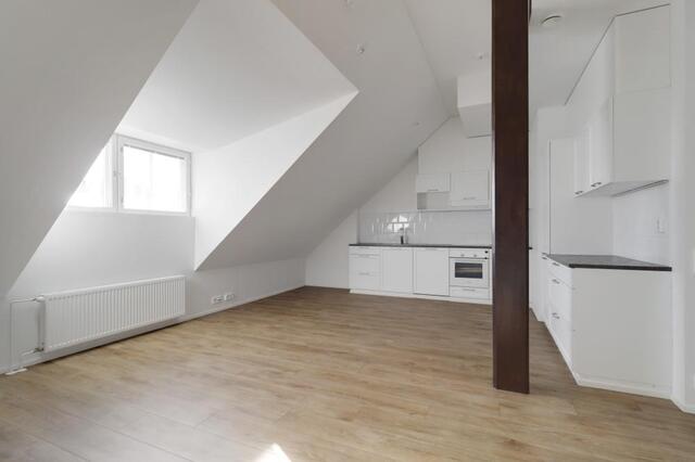 Rental Helsinki Kallio 1 room Olohuone