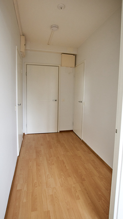 Rental Jyväskylä Aittorinne 1 room Väliaitankatu 10