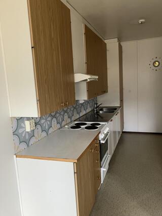 Rental Pälkäne Luopioinen 2 rooms Keittiö