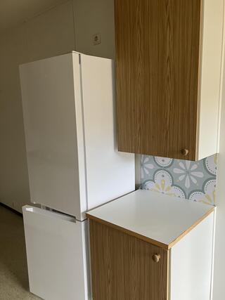 Rental Pälkäne Luopioinen 2 rooms Keittiö