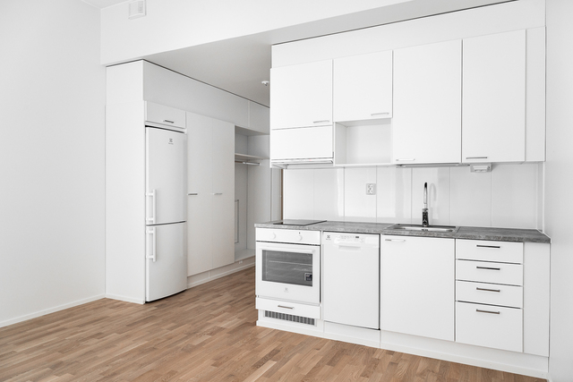 Rental Oulu Keskusta 1 room