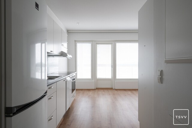 Rental Turku Kupittaa 1 room Yleiskuva