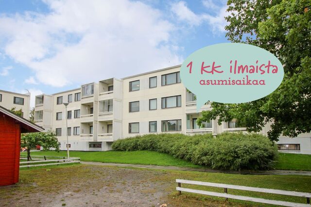 Vuokra-asunto Pori Vähärauma Yksiö Kampanja