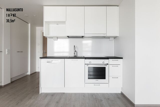 Rental Espoo Leppävaara 1 room Olohuone