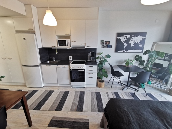 Rental Hämeenlinna Keinusaari 1 room