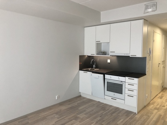 Rental Oulu Keskusta 1 room