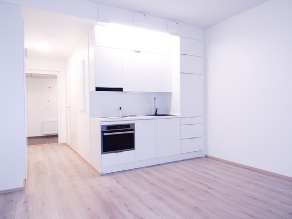 Rental Oulu Myllytulli 1 room