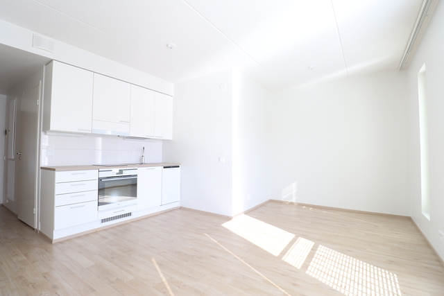 Rental Vantaa Tikkurila 1 room