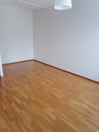 Rental Ikaalinen Kauppala 1 room