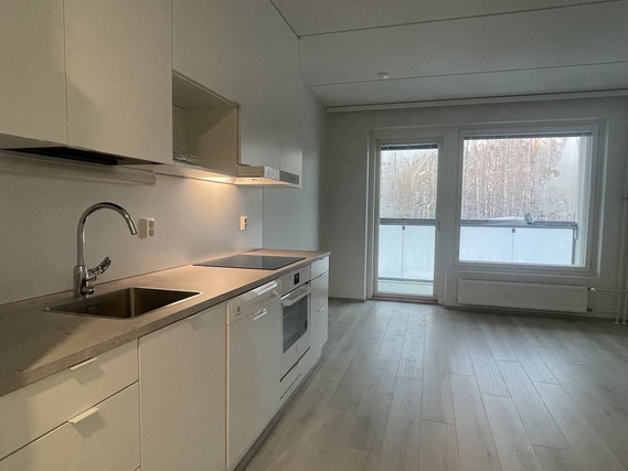 Rental Tampere Lamminpää 1 room