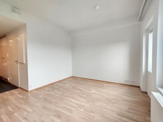 Rental Joensuu  1 room