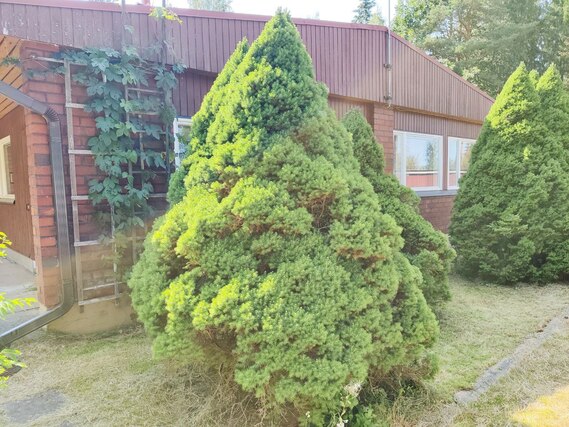 Rental Kotka Saksala 5 + Ulko kuva