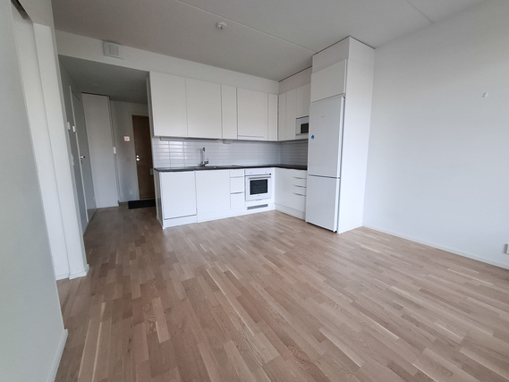 Rental Jyväskylä Lutakko 2 rooms