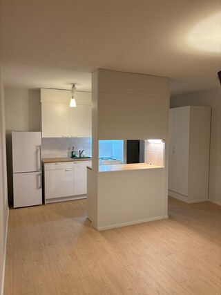 Rental Kemi Ruutti 1 room