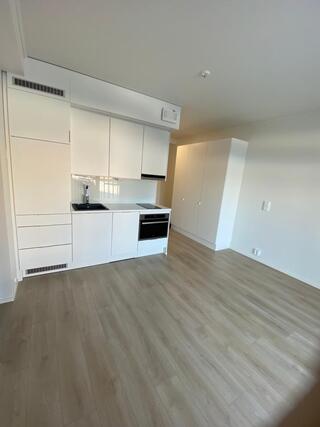Rental Tampere Vuores 2 rooms