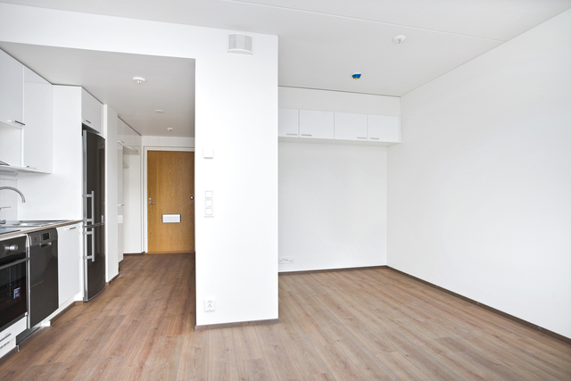 Rental Tampere Haukiluoma 1 room