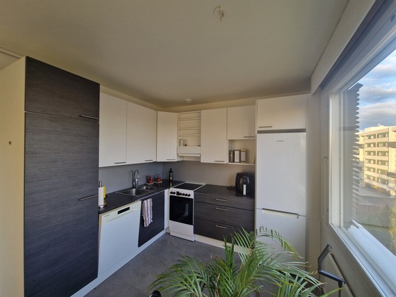 Rental Raisio Keskusta 3 rooms Olohuone