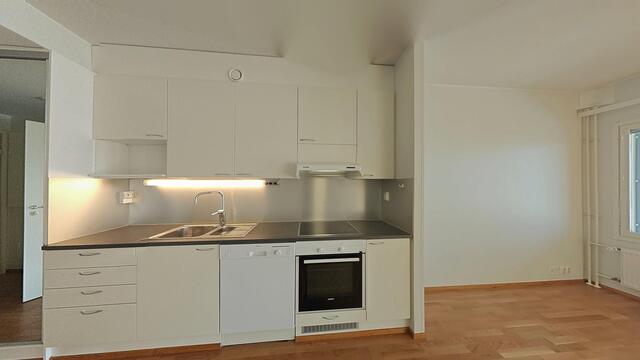 Rental Oulu Toppilansalmi 1 room