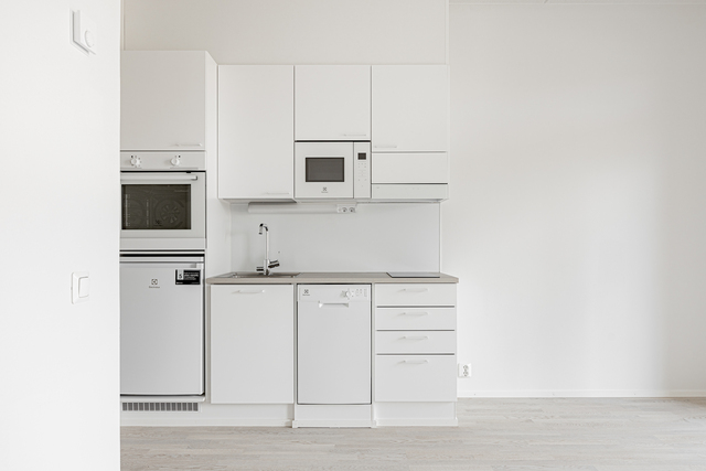 Rental Espoo Henttaa 1 room