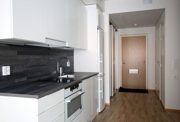 Rental Tampere Hatanpää 1 room