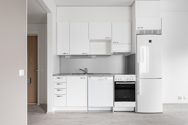 Rental Tampere Tesoma 1 room