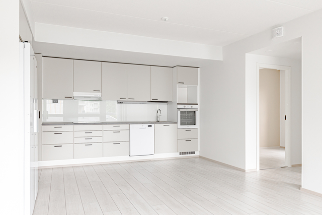 Rental Tampere Lamminpää 5 +