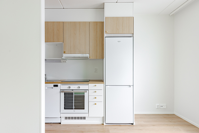 Rental Jyväskylä Kangasvuori 1 room